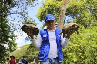 Corporinoquia en el último mes realizó la liberación y reintroducción de más de 100 especies de fauna silvestre que estaba en cautiverio.